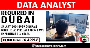 DATA ANALYST REQUIRED IN DUBAI