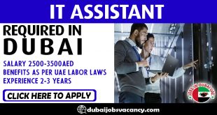 IT ASSISTANT REQUIRED IN DUBAI