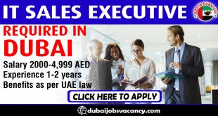 IT SALES EXECUTIVE REQUIRED IN DUBAI