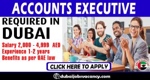 ACCOUNTS EXECUTIVE REQUIRED IN DUBAI