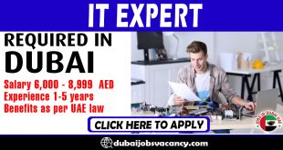 IT EXPERT REQUIRED IN DUBAI