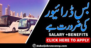 BUS DRIVER REQUIRED IN DUBAI (7)