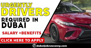 URGENTLY DRIVERS REQUIRED IN DUBAI (6)