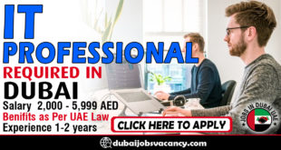 IT PROFESSIONAL REQUIRED IN DUBAI