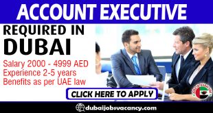 ACCOUNT EXECUTIVE REQUIRED IN DUBAI