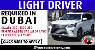 LIGHT DRIVER REQUIRED IN DUBAI