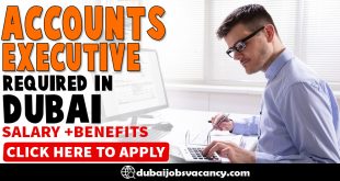 ACCOUNTS EXECUTIVE REQUIRED IN DUBAI (3)