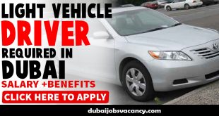 LIGHT VEHICLE DRIVER REQUIRED IN DUBAI