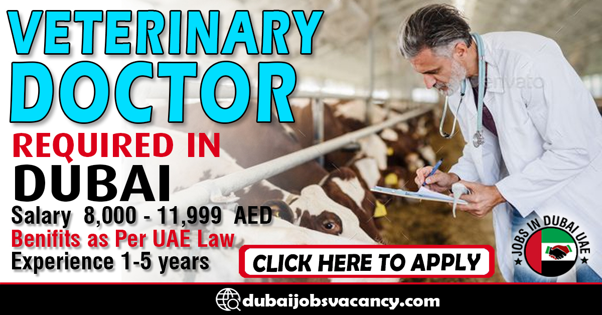 vet nursing jobs dubai